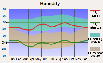 Quitaque, Texas humidity