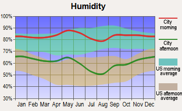 Prairie Hill, Texas humidity