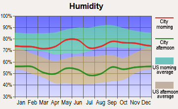 Rochester, Texas humidity