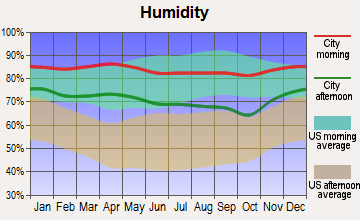 Seabrook, Texas humidity