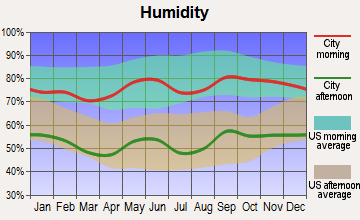 Sterling City, Texas humidity