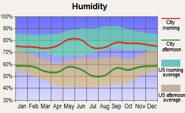Strawn, Texas humidity