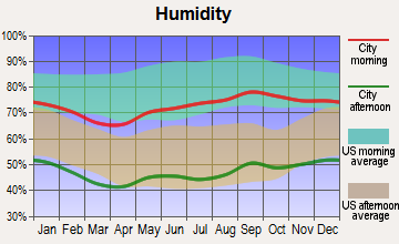 Study Butte-Terlingua, Texas humidity