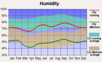 Tahoka, Texas humidity