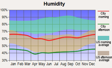 Twentynine Palms Base, California humidity