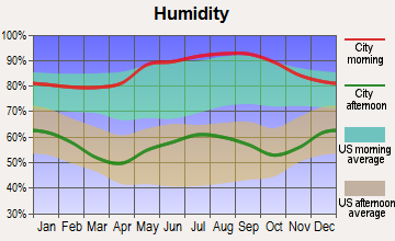 St. Paul, Virginia humidity