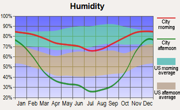 Lakeview, Washington humidity