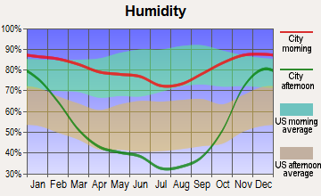 Early Winters, Washington humidity