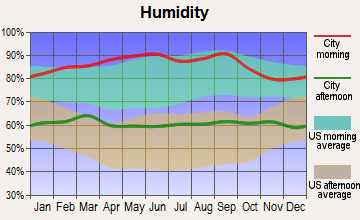 Baywood-Los Osos, California humidity
