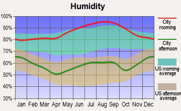 Bridgeport, West Virginia humidity
