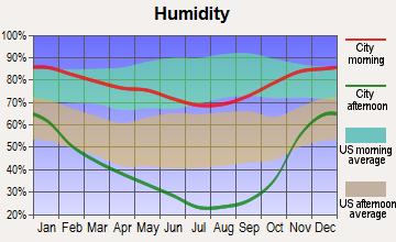 Burney, California humidity