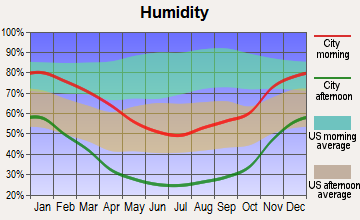 Red Mountain-Trona, California humidity