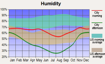 Shoshoni, Wyoming humidity