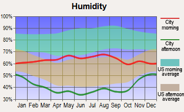 Silverthorne, Colorado humidity
