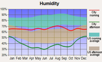 Leadville North, Colorado humidity