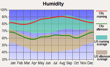 Russellville, Alabama humidity
