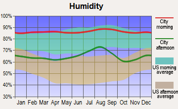 Tyndall AFB, Florida humidity