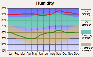 Fort White, Florida humidity
