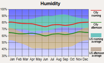 Kapaau, Hawaii humidity