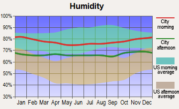 Wailua Homesteads, Hawaii humidity