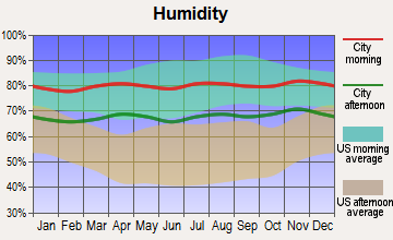 Papaikou-Wailea, Hawaii humidity