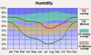 Castleford, Idaho humidity