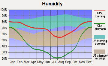 Gooding, Idaho humidity