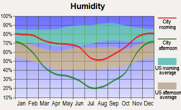 Idaho City, Idaho humidity