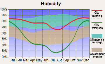 Nezperce, Idaho humidity