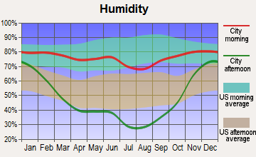 Salmon, Idaho humidity