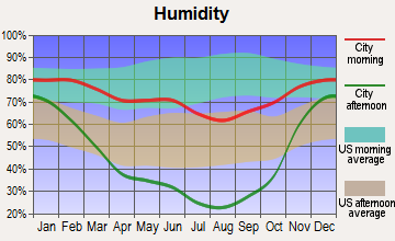 Blackfoot, Idaho humidity