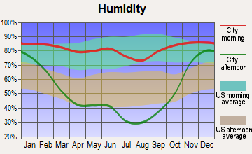Pierce-Headquarters, Idaho humidity
