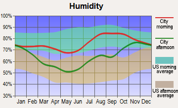 Kaltag, Alaska humidity