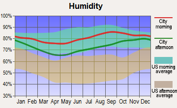 Klawock, Alaska humidity