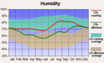 Kobuk, Alaska humidity