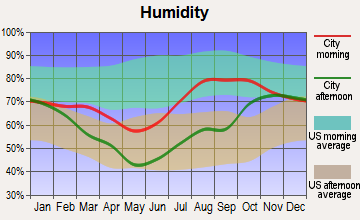 Manley Hot Springs, Alaska humidity
