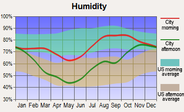 Nikolai, Alaska humidity