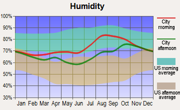 Nuiqsut, Alaska humidity