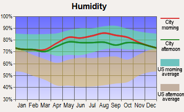 Point Lay, Alaska humidity