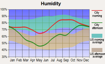 Red Devil, Alaska humidity