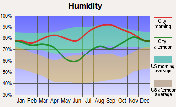 Russian Mission, Alaska humidity