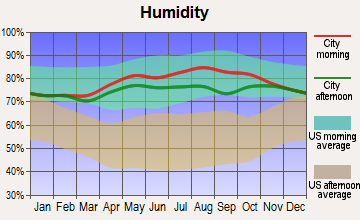 Selawik, Alaska humidity