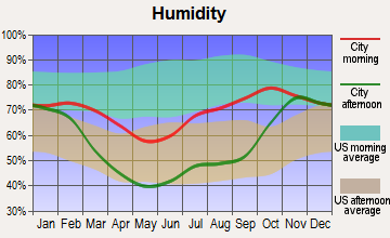 Silver Springs, Alaska humidity
