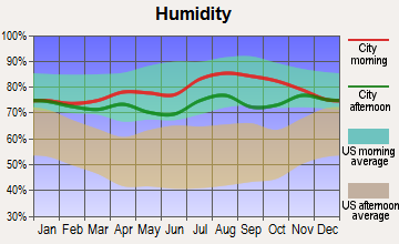 Stebbins, Alaska humidity