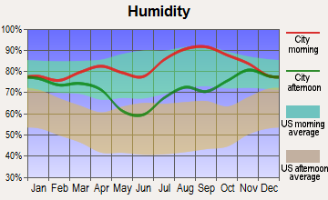 Upper Kalskag, Alaska humidity