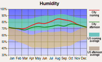 Ambler, Alaska humidity
