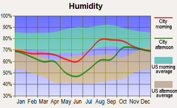 Anaktuvuk Pass, Alaska humidity