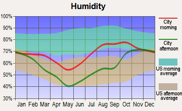 Arctic Village, Alaska humidity