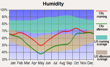 Big Delta, Alaska humidity