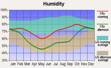 Chisana, Alaska humidity